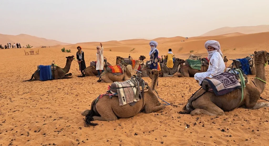 merzougadesert