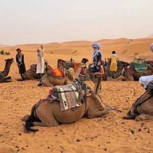 merzougadesert