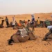 merzougadesert